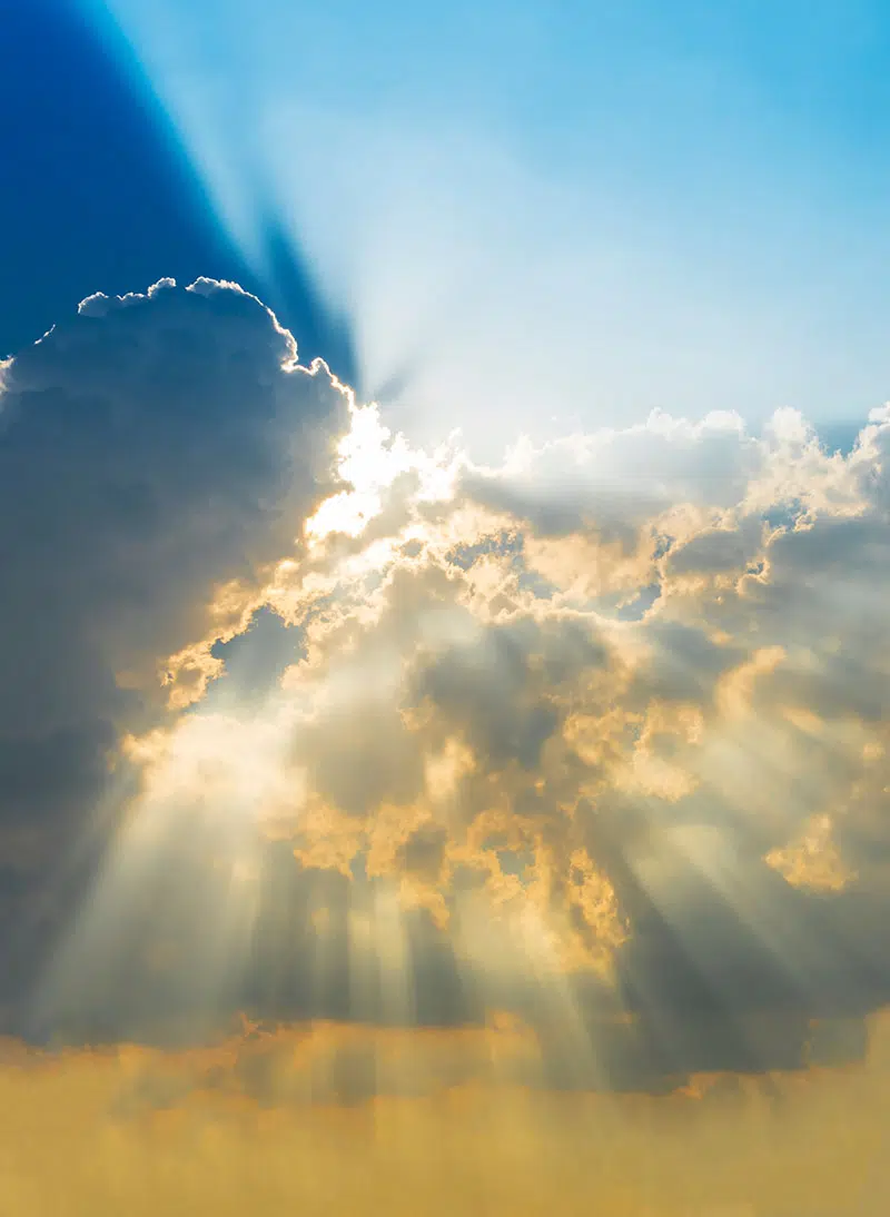 Ervaar meer rust en balans door sessie lichamelijke therapie bij Core Connection.