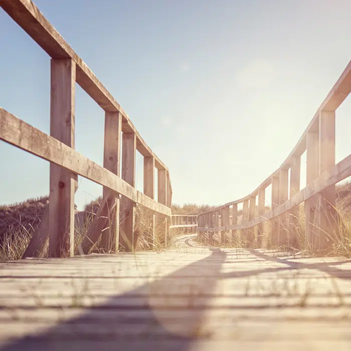 Houten pad over de duinen - Core Connection - Patronen doorbreken